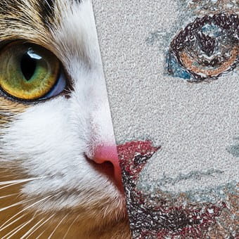 PhotoStitch in kleur