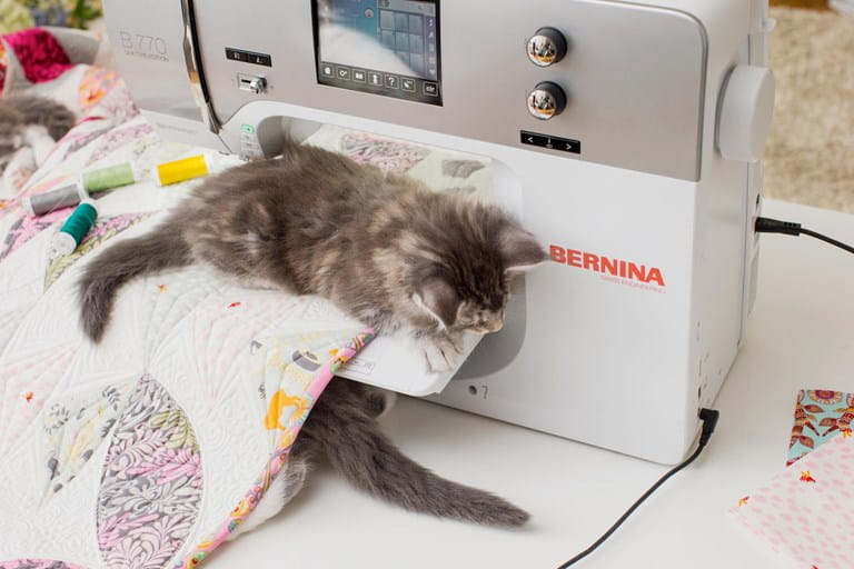 BERNINA 770 QE Machine