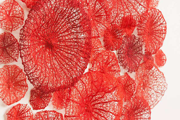 Picture: Meredith Woolnough  1/4